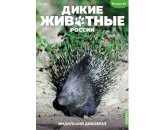Дикие животные России № 45: Индийский дикобраз