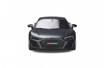 Audi R8 Decennium (matt grey)