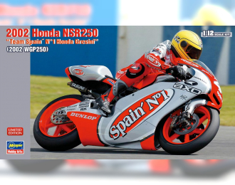 Сборная модель HONDA NSR250 "TEAM GRESINI" (2002 WGP250)