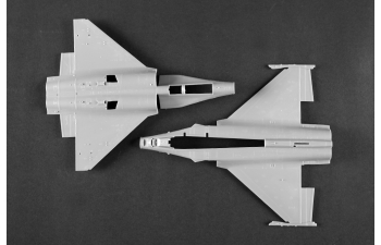 Сборная модель многоцелевой истребитель ВВС Филиппин J-10CE и израильский Rafale 2 в 1