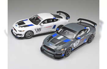 Сборная модель FORD MUSTANG GT4