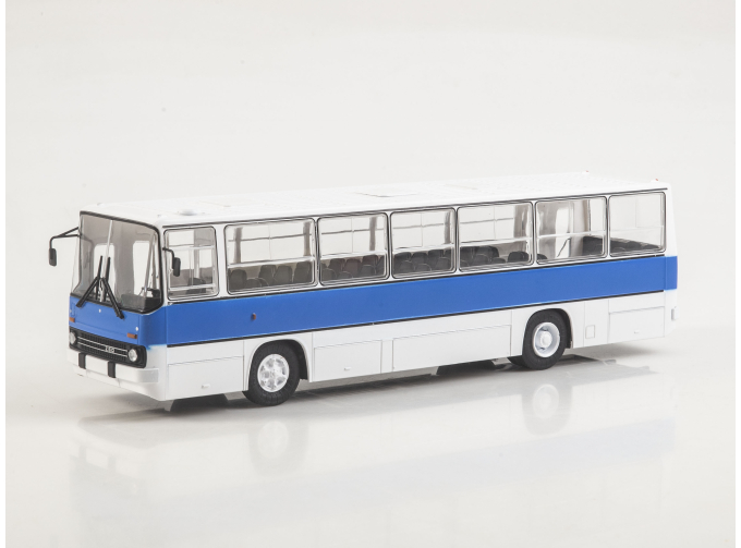 Икарус-260.51, Наши Автобусы 81