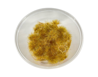 Кочки травы золотая осень, 50 шт. / 5 мм