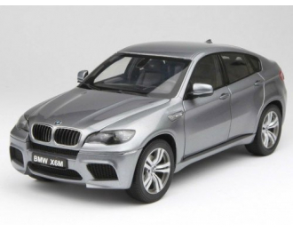 BMW X6M (E71), серый мет.