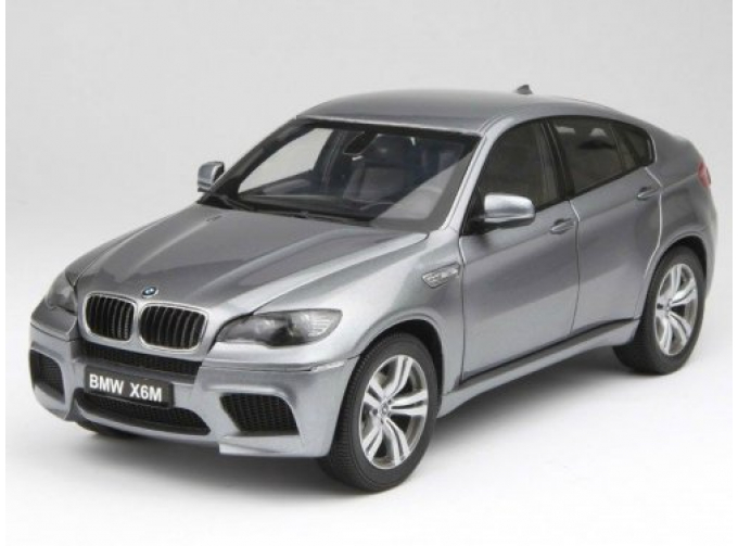 BMW X6M (E71), серый мет.