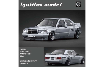 MERCEDES-BENZ PANDEM 190, silver