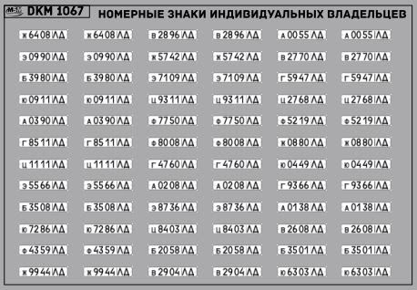 Декаль Номерные знаки индивидуальных владельцев Ленинградская область (100х65)