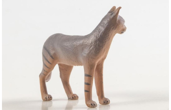 Дикие животные России № 38: Камышовый кот