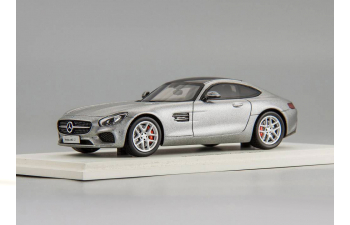 MERCEDES-BENZ GT (2016), titanium