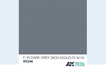 F-15 Dark Grey (Mod Eagle) Fs 36176