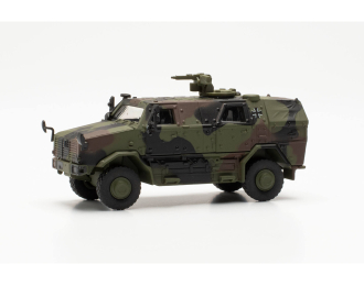 AFT Dingo KMW 1530 Decorated, army