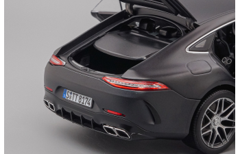 MERCEDES-BENZ AMG GT63s, gray matt