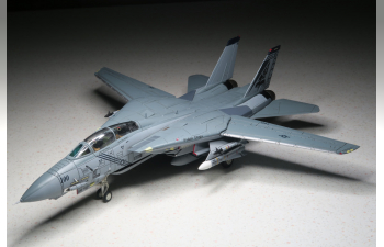 Grumman F-14B Tomcat Diecast Model USN VF-143 Pukin Dogs AG100 NAS Oceana VA 2005 (Wings of Heroes)