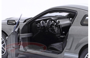 FORD Mustang Shelby GT500 (2007), grey metallic