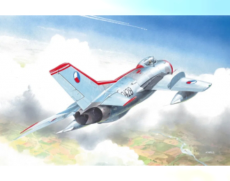 Сборная модель MiG-19S “Farmer-C”