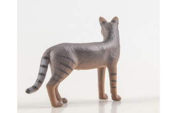 Дикие животные России № 38: Камышовый кот