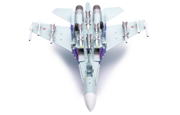 Sukhoi SU-27 Russian Air Force Lipetsk Shark