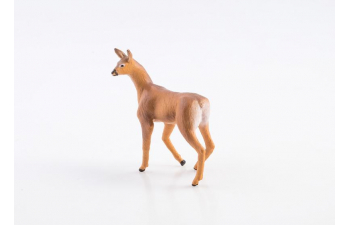 Дикие животные России № 14: Косуля (только вложение)