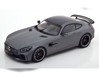 MERCEDES-BENZ AMG GTR (2021), matt-grey metallic