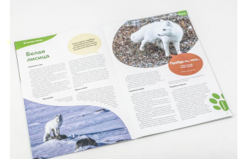 Дикие животные России № 18: Песец