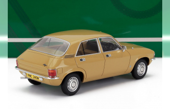 AUSTIN Allegro (1973), ochre