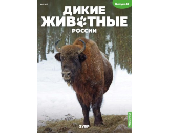 Дикие животные России № 41: Зубр