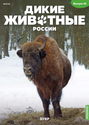 Дикие животные России № 41: Зубр