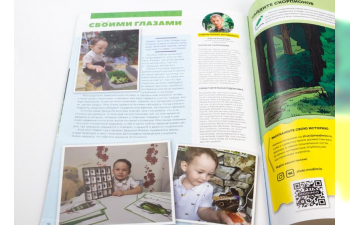 Выпуск №30: Жуки и пауки, Азиатский лесной скорпион Азиатский лесной скорпион