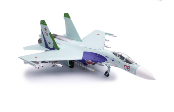 Sukhoi SU-27 Russian Air Force Lipetsk Shark