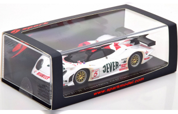 PORSCHE 911 GT1-98 No 5 Fia GT Oschersleben, Grau/Scheld (1998)