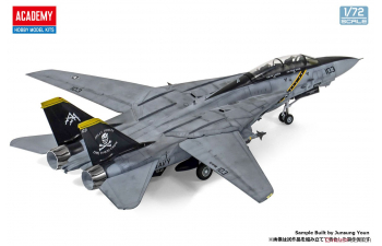 Сборная модель U.S. Navy F-14B VF-103 Jolly Rogers