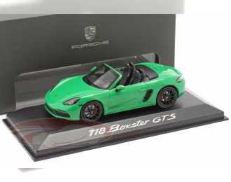 Porsche 718 Boxster GTS 4.0 2020 python green