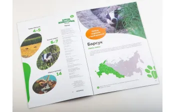 Дикие животные России № 22: Барсук