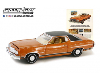 FORD Gran Torino (1973), Brown/Black