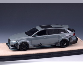 AUDI RS6 DTM Replica DarwinPRO 2017 Cement Grey