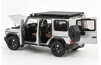 MERCEDES-BENZ G-Class G500 Professional Line 4x4 (W465) (2024), Iridium Silver