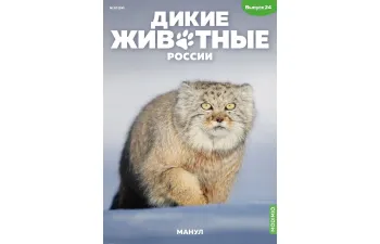 Дикие животные России № 24: Манул