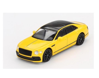 BENTLEY Flying Spur Monaco RHD (2005), Yellow