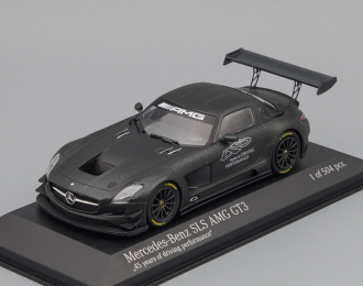 MERCEDES-BENZ SLS AMG GT3 "45 yearsofdriving perfomance" 2013, grey