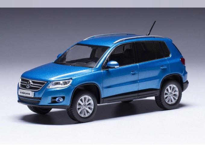 VOLKSWAGEN Tiguan (2007), blue