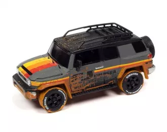 TOYOTA Fj Cruiser (2007), Grey