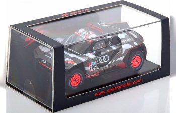 AUDI RS Q e-tron №202 Rally Dakar, Sainz/Cruz (2022)