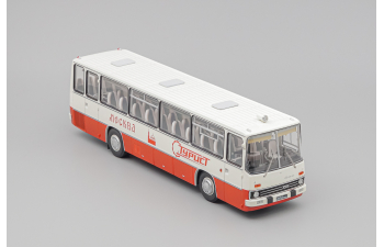 IKARUS 255.70 амарант