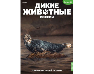 Дикие животные России № 43: Длинномордый тюлень