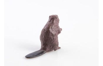 Дикие животные России № 8: Бобр (только вложение)