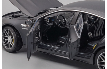 MERCEDES-BENZ AMG GT63s, gray matt