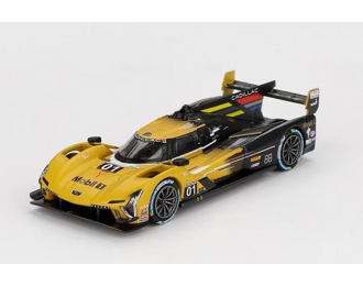 CADILLAC V-Series.R #01 Cadillac Racing IMSA (2024), yellow/black