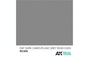 RAF Dark Camouflage Grey BS381C/629