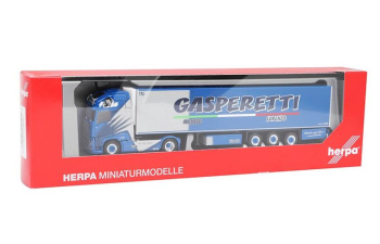 VOLVO FH GL XL Gasperetti, синий/серый