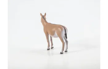 Дикие животные России № 25: Кулан